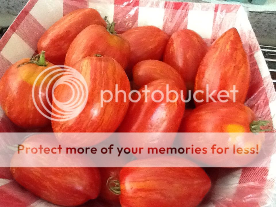 Uploaded from the Photobucket iPad App