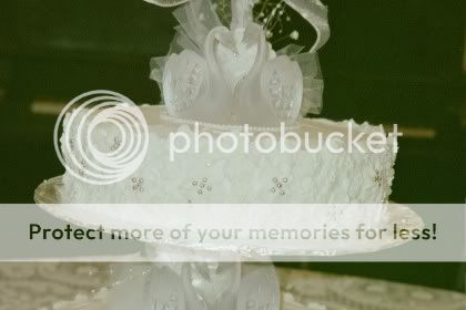 closeup apple blossoms