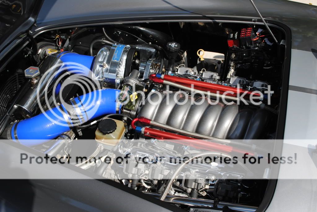 Shelby135.jpg