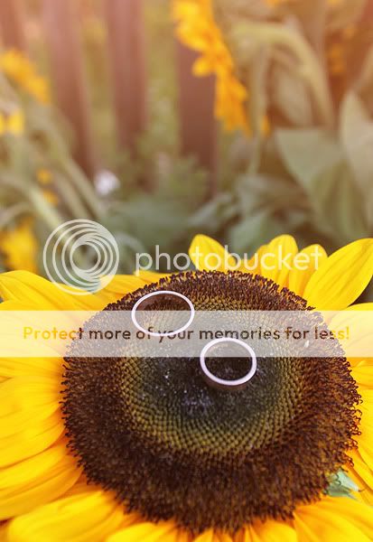 IMAGE: http://i485.photobucket.com/albums/rr218/Reno_LV/3-24.jpg