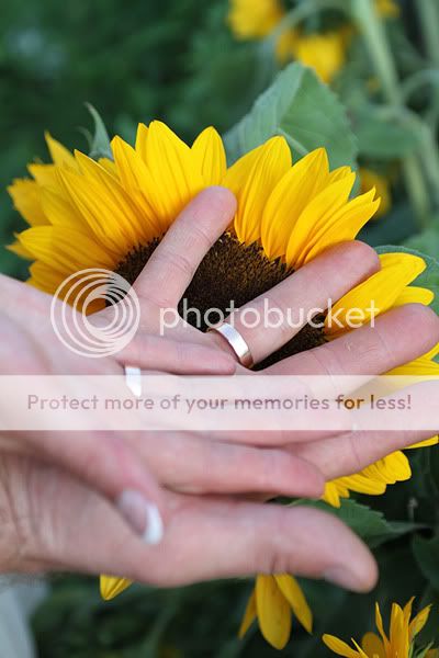 IMAGE: http://i485.photobucket.com/albums/rr218/Reno_LV/895.jpg