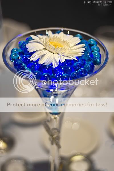 IMAGE: http://i485.photobucket.com/albums/rr218/Reno_LV/IMG_8661.jpg