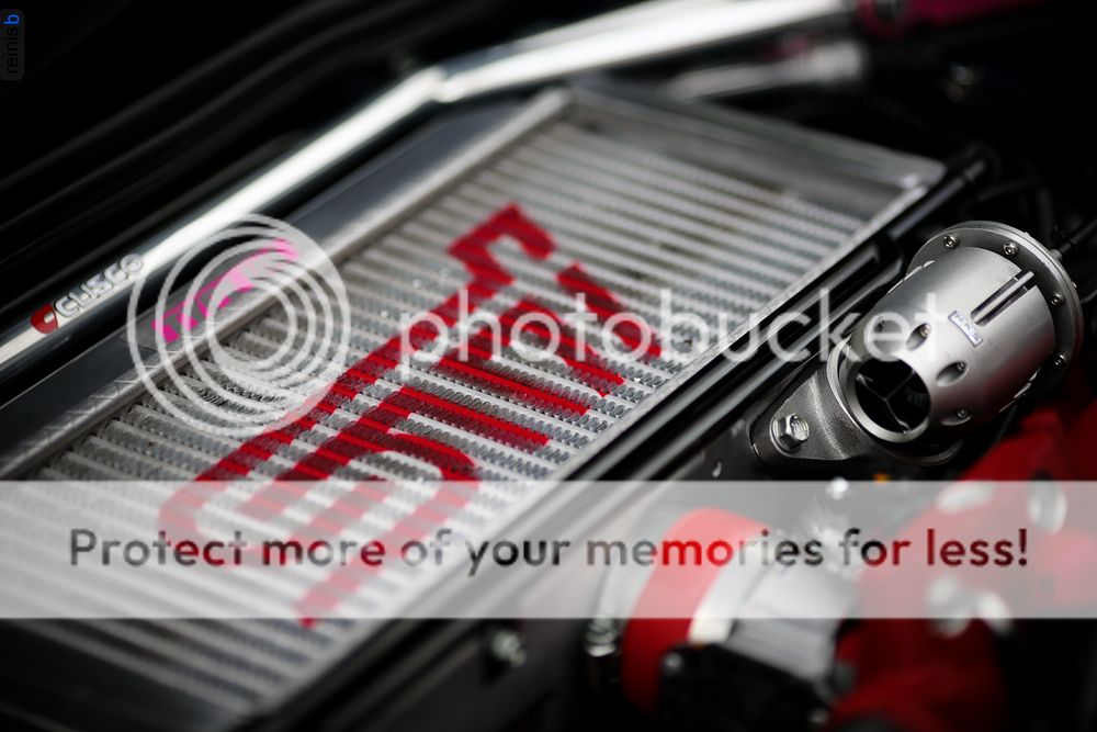 IMAGE: http://i485.photobucket.com/albums/rr218/Reno_LV/cultra/020.jpg