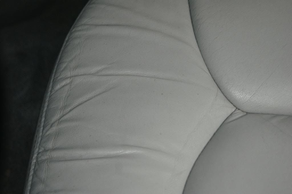 DSC09655.jpg