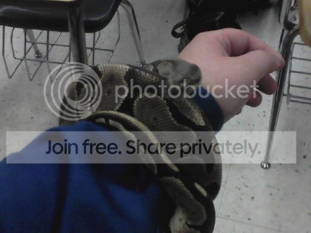 0428111412_zps44c3c1f5.jpg
