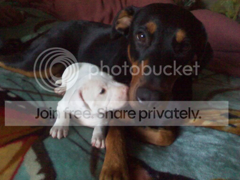 2011-10-25145155_zps6f5c3a12.jpg