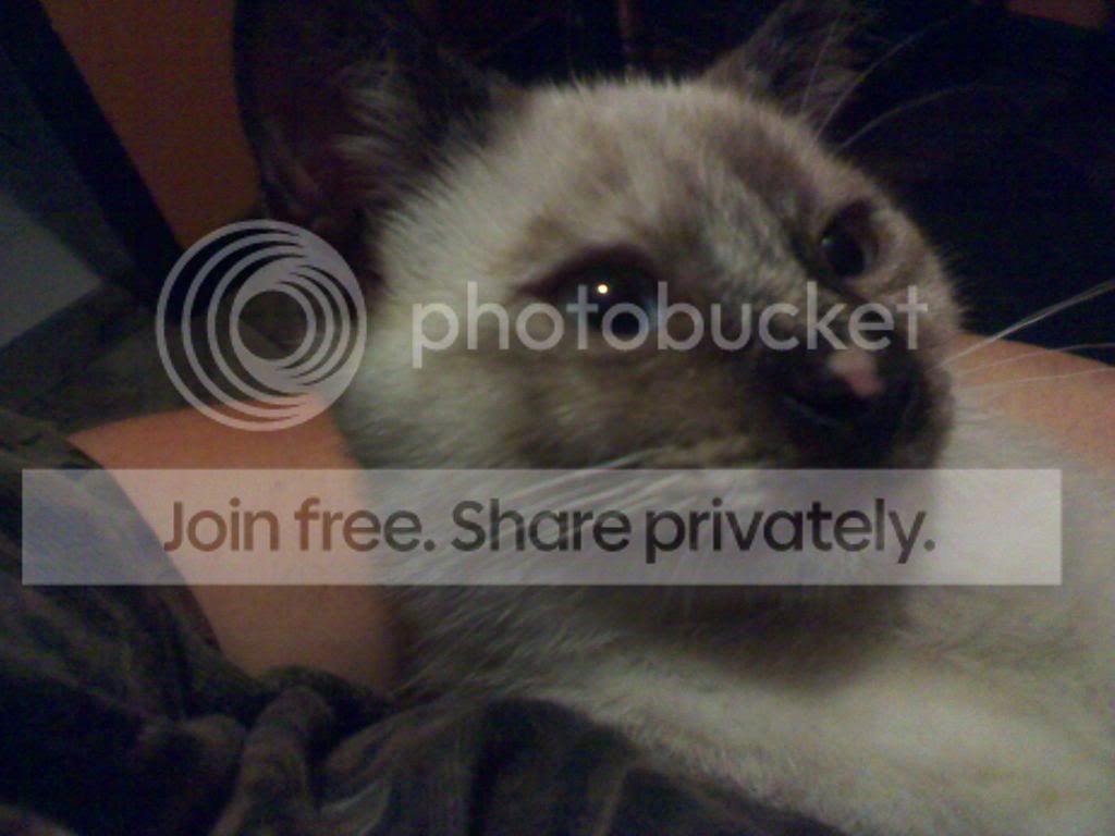 2011-11-15185209_zpse79a575c.jpg